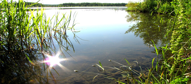 Rantamaisema kesäisessä Lempäälässä