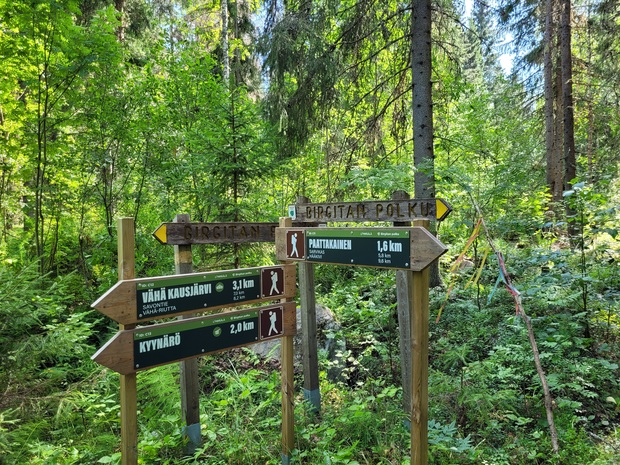 Tienviitat metsässä, kyynärö, vähä_kausjärvi, paattakainen